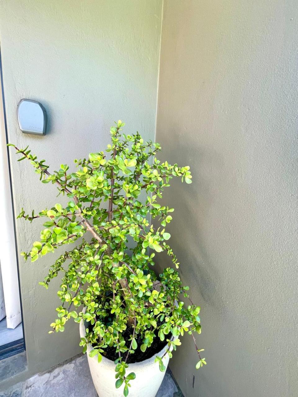 Tehillah On Boom Apartment Bothasig Ngoại thất bức ảnh